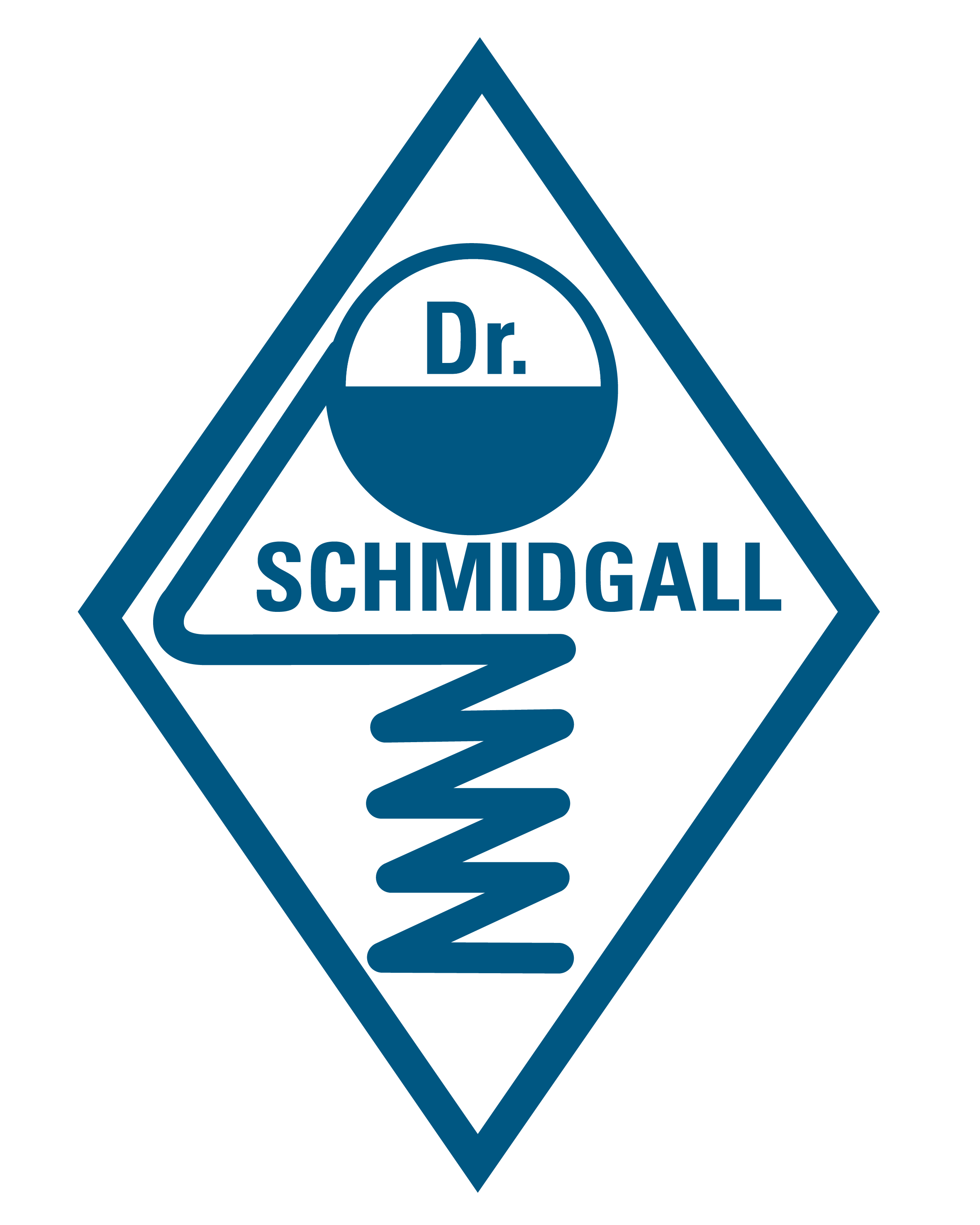 Dr Schmidgall